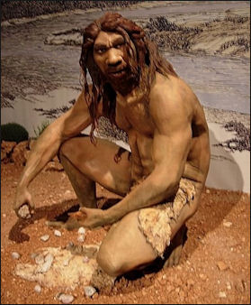 20120202-Homo_heidelbergensis 2.jpg